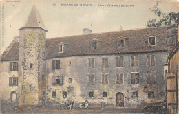 64-SALIES DE BEARN-CHATEAU DE SAINT PE-N 6007-D/0027 - Salies De Bearn