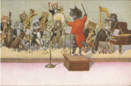CHATS Habillés - L'orchestre - Animales Vestidos