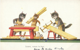 CHATS Habillés -  Scions, Scions Le Bois - Dressed Animals