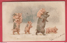 Cochons / Pig - Position Humaine ...familles Cochons Dans La Tempête De Neige - 1903  ( Voir Verso ) - Schweine