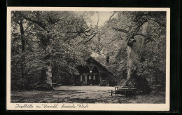 AK Zetel I. O., Gasthaus Kurhaus Im Urwald  - Zetel