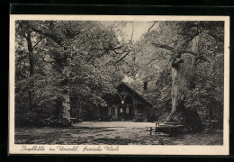 AK Zetel I. O., Gasthaus Kurhaus Im Urwald  - Zetel