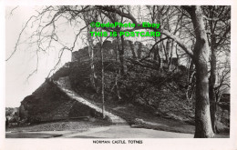 R390159 Norman Castle. Totnes. Nicholas Horne. RP - Welt