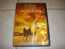 DVD CINEMA La LEGENDE De L'ETALON NOIR De Walt DISNEY 2005 48mn + Bonus - Autres & Non Classés