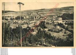 07.  LA LOUVESC .  Vue Générale . - La Louvesc