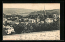 AK Bad Elster, Totale Von Der Bergwiese Aus Gesehen  - Bad Elster