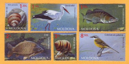 2014 Moldova Moldavie Moldau  Animals. Fauna. Stork. Wagtail. Carp. Perch. Snail  6v Mint - Moldova