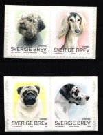 Schweden 2618-2621 Postfrisch Selbstklebend Hunde #IJ953 - Altri & Non Classificati