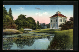 AK Dessau, Blick Auf Schloss Luisium  - Dessau