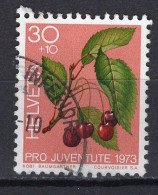 T3022 - SUISSE SWITZERLAND Yv N°944 Pro Juventute - Used Stamps