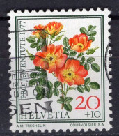 T3032 - SUISSE SWITZERLAND Yv N°1042 Pro Juventute - Used Stamps