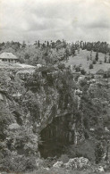 Postcard Romania Podul Natural De Piatra De La Ponoare1966 - Roumanie