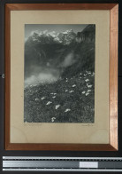 Fotografie Max Bauer, Bild Der Nebel Steigt Passepartout In Holzrahmen Gerahmt, Handschriftliche Unterschrift  - Other & Unclassified