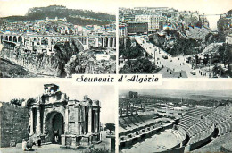 ALGERIE -  Souvenir D'Alger. Lot De 7 Cartes - Oran