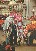 Animaux - Eléphants - Sri Lanka - Kandy Esala Perehera - CPM - Voir Scans Recto-Verso - Elephants