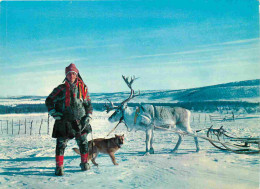 Norvège - Same Og Rein Med Slede - Lapp With His Reindeer - Renne - Cervidés - Norge - Norway - CPM - Carte Neuve - Voir - Norvegia