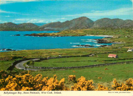 Irlande - Cork - Beara Peninsula - Ballydonegan Bay - CPM - Voir Scans Recto-Verso - Cork