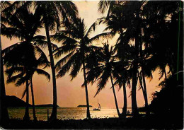 Antilles - Coucher De Soleil Aux Caraibes - Voir Timbre - CPM - Voir Scans Recto-Verso - Autres & Non Classés
