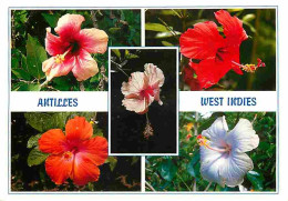 Antilles - West Indies - Multivues - Hibiscus Rosa Sinensis - La Rose De Chine - CPM - Voir Scans Recto-Verso - Otros & Sin Clasificación