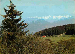 01 - Hauteville Lompnès - Col De La Lèbe - Vue Sur Le Mont-Blanc - CPM - Voir Scans Recto-Verso - Hauteville-Lompnes