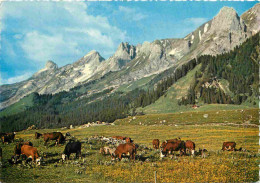 Animaux - Vaches - Paturages De Montagne - Carte Dentelée - CPSM Grand Format - Voir Scans Recto-Verso - Vacas
