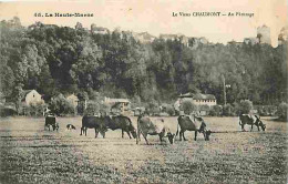 52 - Chaumont - Le Vieux Chaumont - Au Paturage - Vaches - CPA - Voir Scans Recto-Verso - Chaumont