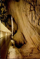 LA GROTTE DU MAS D ' ASIL   ( ARIEGE )  ROUTE ET RIVIERE TRAVERSANT LA GROTTE. DEBRIS MORAINIQUES DANS LE LIT D ' ARIZE - Autres & Non Classés