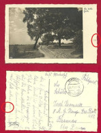 Randego Niederdonau Briefstempel 1941 Feldpost Htje - Arbres