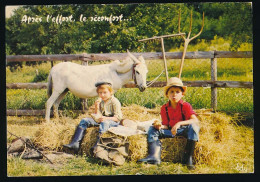 CPSM / CPM 10,5 X 15 Humoristique (4) Après L'effort, Le Réconfort  Le "Casse-Croûte" Bien Mérité  âne Enfant Paille - Humor