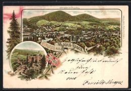 Vorläufer-Lithographie Baden-Baden, 1893, Teilansicht Vom Friesenberg Aus, Das Alte Schloss  - Baden-Baden