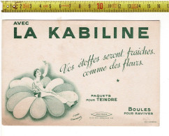 SOLDE 2014 - BUVARD - AVEC LA KABILINE - BOULES POUR RAVIVER - Produits Ménagers