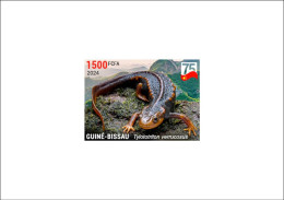GUINEA BISSAU 2024 DELUXE PROOF - CHINA DIPLOMATIC RELATIONS - NEWT TRITON AMPHIBIANS AMPHIBIENS - Sonstige & Ohne Zuordnung