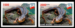 GUINEA BISSAU 2024 IMPERF SET 2V - CHINA DIPLOMATIC RELATIONS - NEWT TRITON AMPHIBIANS AMPHIBIENS - MNH - Other & Unclassified