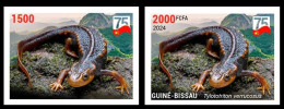 GUINEA BISSAU 2024 IMPERF SET 2V - CHINA DIPLOMATIC RELATIONS - NEWT TRITON AMPHIBIANS AMPHIBIENS - MNH - Autres & Non Classés