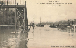 D6641 Sèvres Crue De La Seine - Sevres
