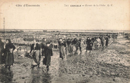 Cancale * Retour De Pêche à Pied * Ostréiculture - Cancale