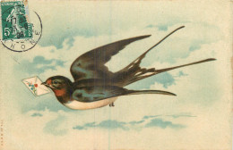 ILLUSTRATION  THEME OISEAUX  - Vögel