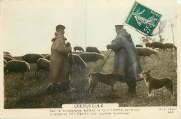 AGRICULTURE - TROUPEAU DE  MOUTONS - CREPUSCULE - Crías