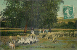 AGRICULTURE -  MOUTONS ET OIES AU PATURAGE - Viehzucht