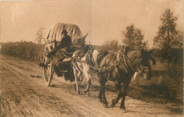   AGRICULTURE - ATTELAGE - PAYSAN - Equipos