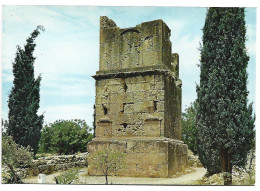 TORRE DE " LOS ESCIPIONES " / THE " ESCIPION'S " TOWER.- TARRAGONA.- ( CATALUNYA ) - Monumenten