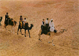 60 - Ermenonville - Mer De Sable - Centre Attractif Jean Richard - Parc D'attractions - Chameaux - CPM - Voir Scans Rect - Ermenonville