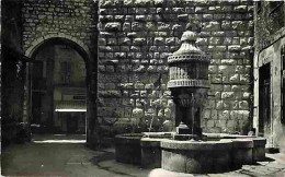 06 - Vence - La Fontaine Du Peyra - CPM - Voir Scans Recto-Verso - Vence