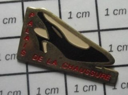 1215c Pin's Pins / Beau Et Rare : MARQUES / ESCARPIN NOIR PALAIS DE LA CHAUSSURE - Städte