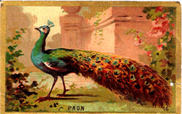 Image " LE PAON " (249)_D202 - Albums & Katalogus