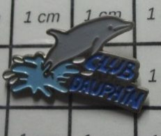 511D Pin's Pins / Beau Et Rare : SPORTS / DAUPHIN GRIS CLUB NATATION - Natación