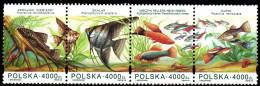 Polen 1994 - Mi.Nr. 3505 - 3508 - Postfrisch MNH - Tiere Animals Fische Fishes - Fishes