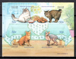 Russia 2020 Rusia / Cats MNH Gatos Chats Katzen / Hq95  4-29 - Chats Domestiques