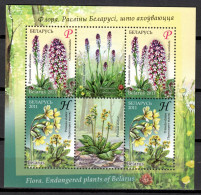 Belarus 2015 Bielorrusia / Flowers MNH Flores Blumen Fleurs / Hr39  27-16 - Andere & Zonder Classificatie