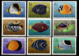 Polen 1967 - Mi.Nr. 1748 - 1756 - Postfrisch MNH - Tiere Animals Fische Fishes - Fishes